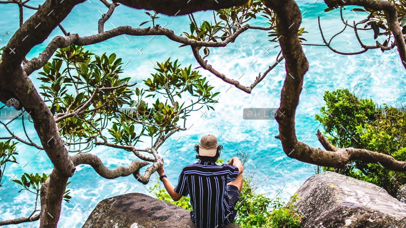 demo-attachment-33-damon-hall-1543458-unsplash